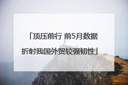 顶压前行 前5月数据折射我国外贸较强韧性