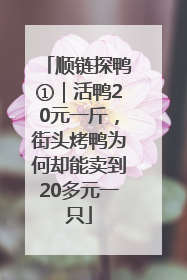 顺链探鸭①｜活鸭20元一斤，街头烤鸭为何却能卖到20多元一只
