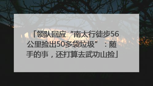 领队回应“南太行徒步56公里捡出50多袋垃圾”：随手的事，还打算去武功山捡