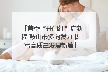 首季“开门红”启新程 鞍山市多向发力书写高质量发展新篇