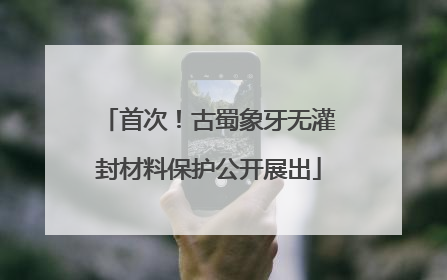 首次！古蜀象牙无灌封材料保护公开展出