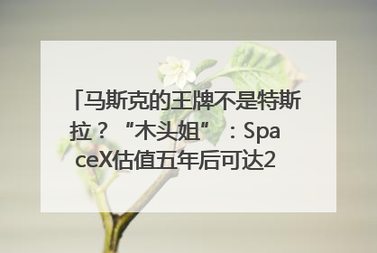 马斯克的王牌不是特斯拉？“木头姐”：SpaceX估值五年后可达2.5万亿美元！