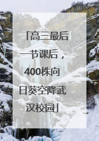 高三最后一节课后，400株向日葵空降武汉校园