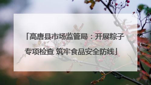 高唐县市场监管局：开展粽子专项检查 筑牢食品安全防线