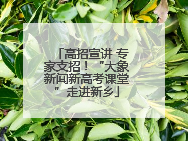 高招宣讲 专家支招！“大象新闻新高考课堂”走进新乡