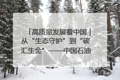 高质量发展看中国｜从“生态守护”到“碳汇生金”——中国石油大庆油田绿色蝶变