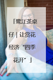 鹭江茶桌仔｜让赏花经济“四季花开”