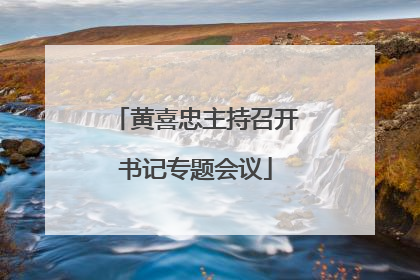 黄喜忠主持召开书记专题会议