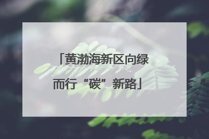 黄渤海新区向绿而行“碳”新路