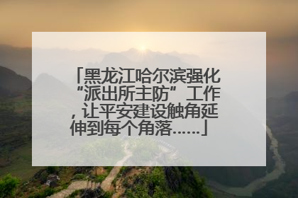 黑龙江哈尔滨强化“派出所主防”工作，让平安建设触角延伸到每个角落……