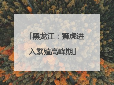 黑龙江：狮虎进入繁殖高峰期