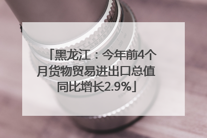 黑龙江：今年前4个月货物贸易进出口总值同比增长2.9%
