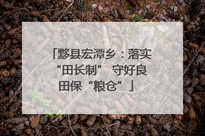 黟县宏潭乡：落实“田长制” 守好良田保“粮仓”