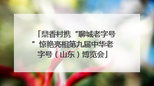 鼎香村携“聊城老字号”惊艳亮相第九届中华老字号（山东）博览会