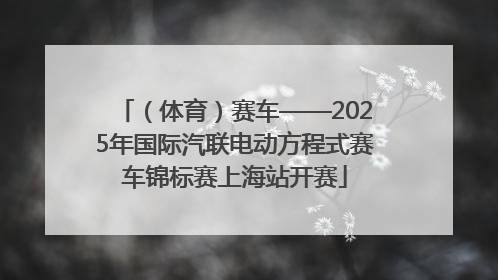（体育）赛车——2025年国际汽联电动方程式赛车锦标赛上海站开赛