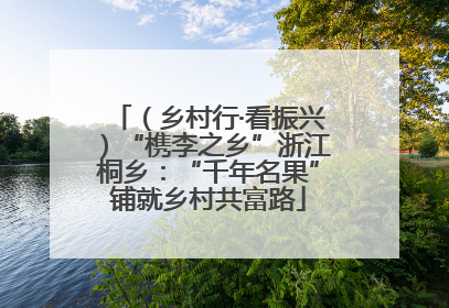 （乡村行·看振兴）“槜李之乡”浙江桐乡：“千年名果”铺就乡村共富路