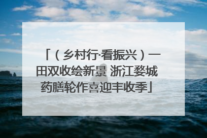 （乡村行·看振兴）一田双收绘新景 浙江婺城药膳轮作喜迎丰收季