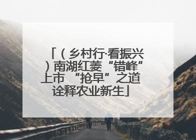 （乡村行·看振兴）南湖红菱“错峰”上市 “抢早”之道诠释农业新生