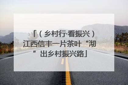 （乡村行·看振兴）江西信丰一片茶叶“沏”出乡村振兴路