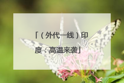 （外代一线）印度：高温来袭