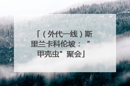 （外代一线）斯里兰卡科伦坡：“甲壳虫”聚会