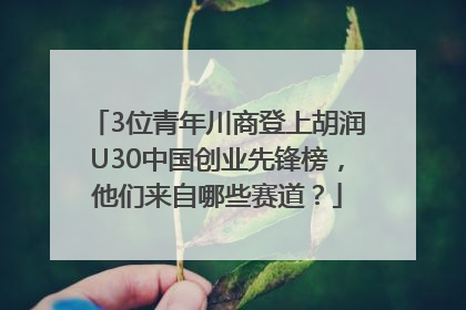 3位青年川商登上胡润U30中国创业先锋榜，他们来自哪些赛道？
