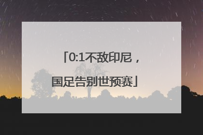 0:1不敌印尼，国足告别世预赛