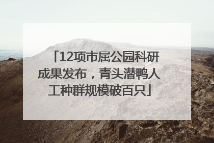 12项市属公园科研成果发布，青头潜鸭人工种群规模破百只