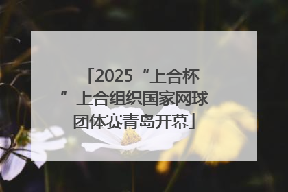 2025“上合杯”上合组织国家网球团体赛青岛开幕