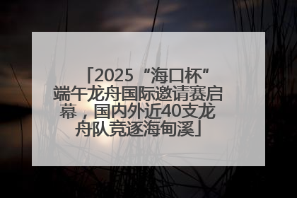 2025“海口杯”端午龙舟国际邀请赛启幕，国内外近40支龙舟队竞逐海甸溪