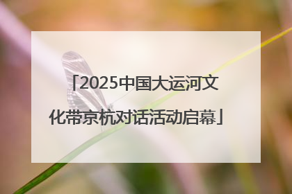 2025中国大运河文化带京杭对话活动启幕