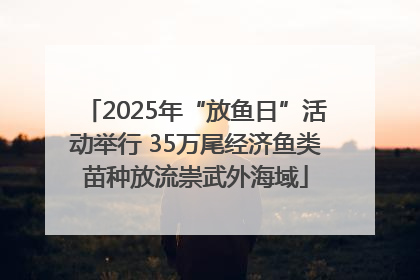 2025年“放鱼日”活动举行 35万尾经济鱼类苗种放流崇武外海域