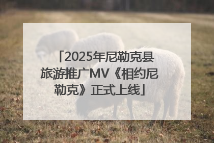 2025年尼勒克县旅游推广MV《相约尼勒克》正式上线
