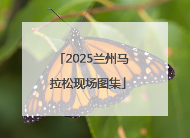 2025兰州马拉松现场图集