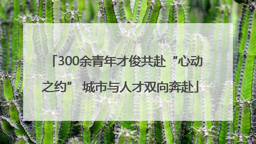 300余青年才俊共赴“心动之约” 城市与人才双向奔赴