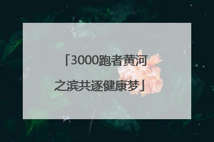 3000跑者黄河之滨共逐健康梦