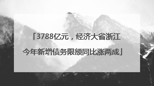 3788亿元，经济大省浙江今年新增债务限额同比涨两成