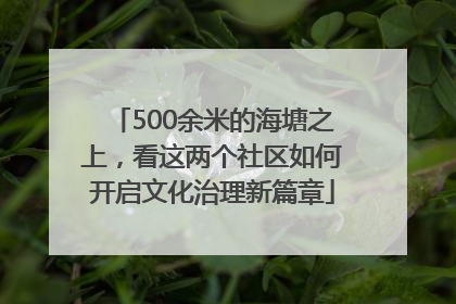 500余米的海塘之上，看这两个社区如何开启文化治理新篇章