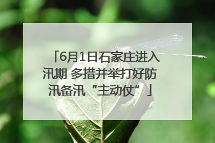 6月1日石家庄进入汛期 多措并举打好防汛备汛“主动仗”