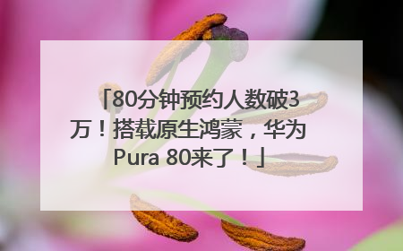 80分钟预约人数破3万！搭载原生鸿蒙，华为Pura 80来了！