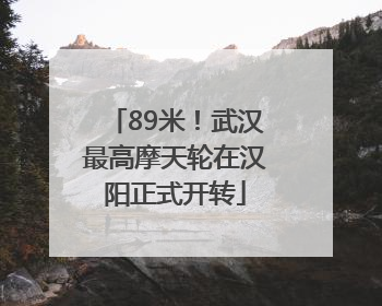 89米！武汉最高摩天轮在汉阳正式开转