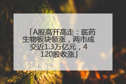 A股高开高走：医药生物板块领涨，两市成交近1.3万亿元，4120股收涨